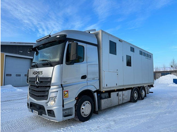 Грузовик для перевозки животных MERCEDES-BENZ Actros