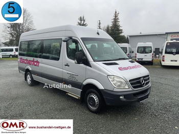 Микроавтобус MERCEDES-BENZ Sprinter 516